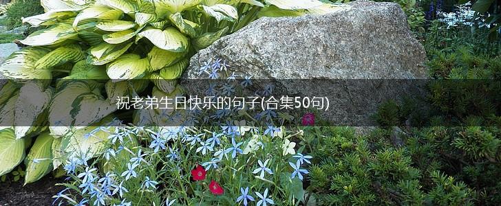 祝老弟生日快乐的句子(合集50句),第1张
