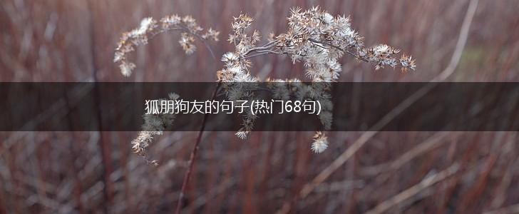 狐朋狗友的句子(热门68句),第1张