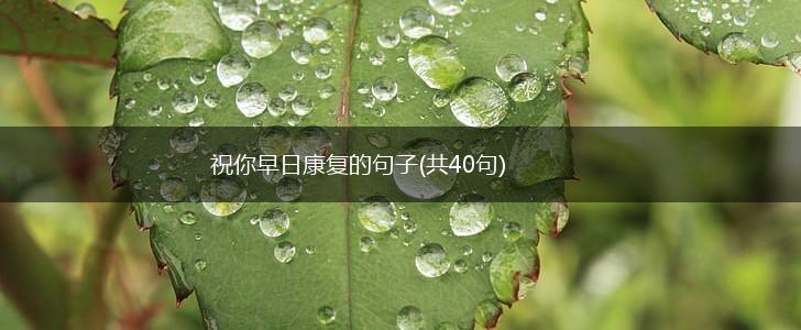 祝你早日康复的句子(共40句),第1张