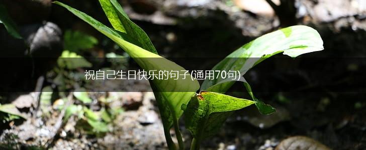 祝自己生日快乐的句子(通用70句),第1张
