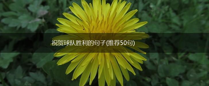 祝贺球队胜利的句子(推荐50句),第1张