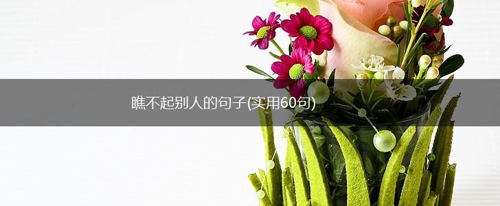 瞧不起别人的句子(实用60句),第1张