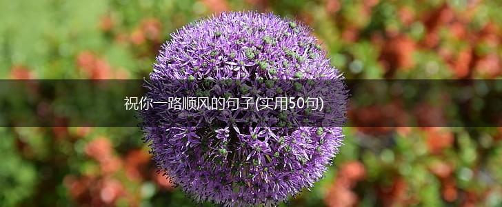 祝你一路顺风的句子(实用50句),第1张