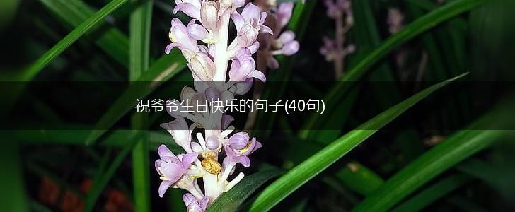 祝爷爷生日快乐的句子(40句),第1张