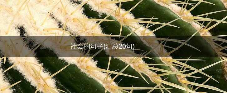 社会的句子(汇总20句),第1张