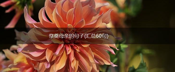 祭奠母亲的句子(汇总60句),第1张