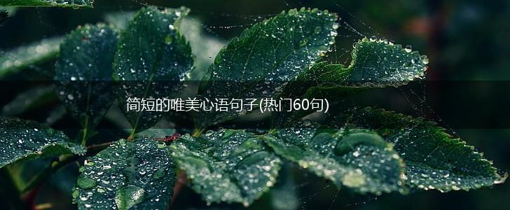 简短的唯美心语句子(热门60句),第1张