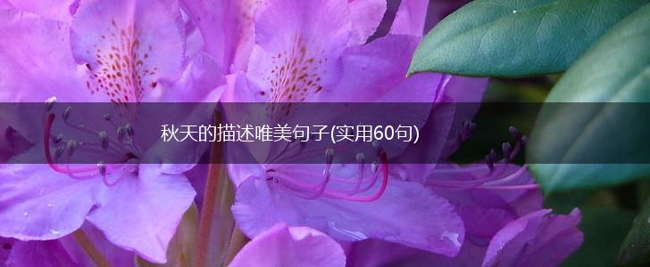 秋天的描述唯美句子(实用60句),第1张