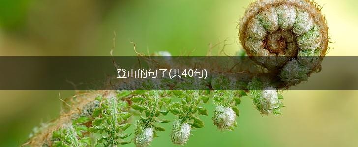 登山的句子(共40句),第1张