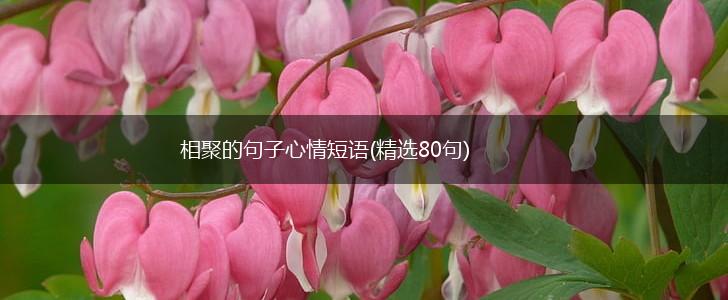 相聚的句子心情短语(精选80句),第1张 相聚的句子心情短语(精选80句),第1张