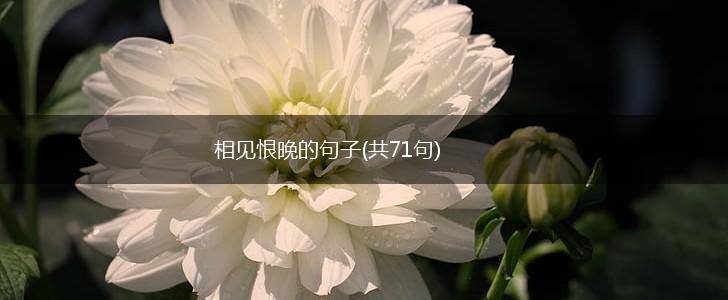 相见恨晚的句子(共71句),第1张