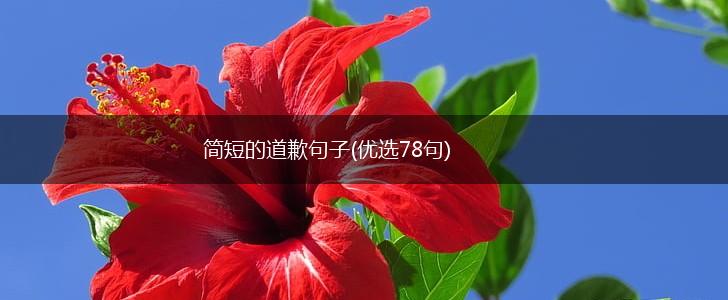 简短的道歉句子(优选78句),第1张