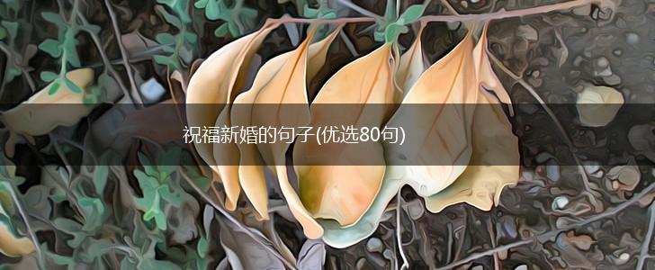 祝福新婚的句子(优选80句),第1张