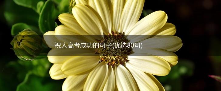 祝人高考成功的句子(优选80句),第1张
