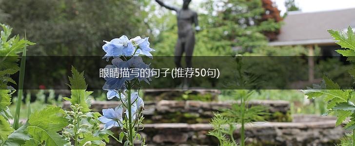 眼睛描写的句子(推荐50句),第1张