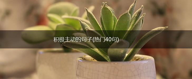 积极主动的句子(热门40句),第1张