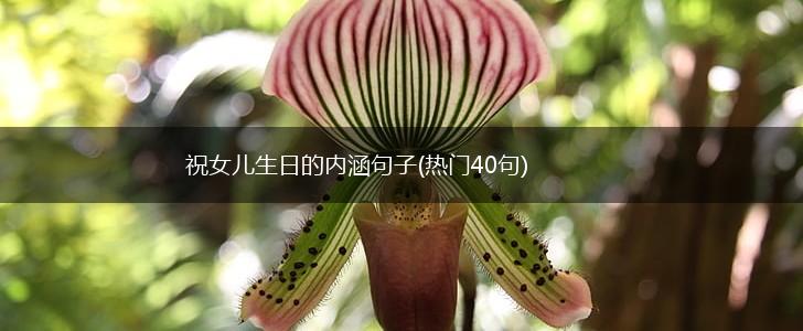 祝女儿生日的内涵句子(热门40句),第1张