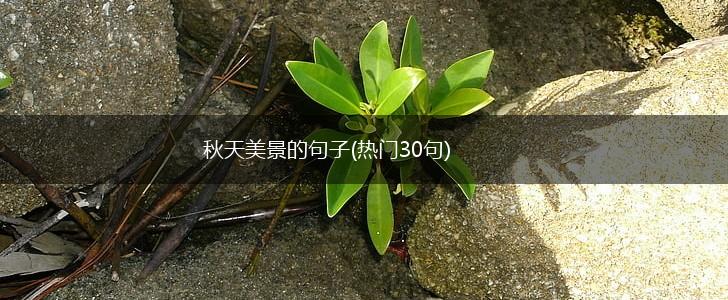 秋天美景的句子(热门30句),第1张