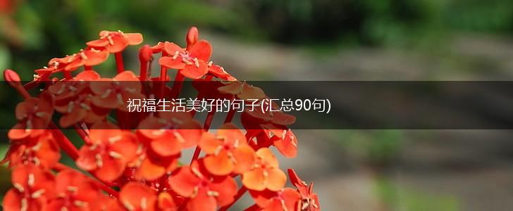 祝福生活美好的句子(汇总90句),第1张 祝福生活美好的句子(汇总90句),第1张