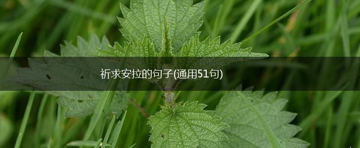 祈求安拉的句子(通用51句),第1张