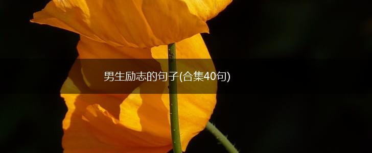 男生励志的句子(合集40句),第1张