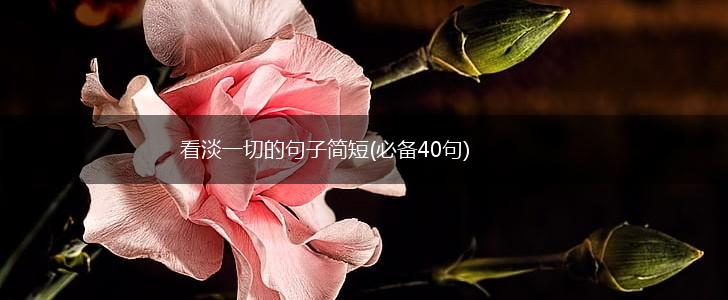 看淡一切的句子简短(必备40句),第1张