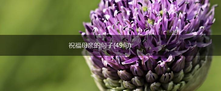 祝福母亲的句子(49句),第1张