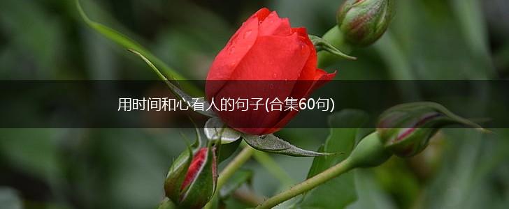 用时间和心看人的句子(合集60句),第1张