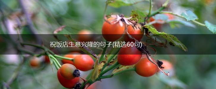 祝饭店生意兴隆的句子(精选60句),第1张
