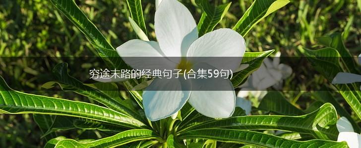 穷途末路的经典句子(合集59句),第1张