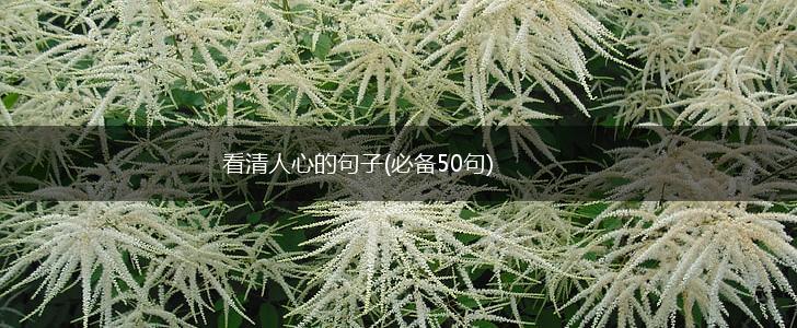 看清人心的句子(必备50句),第1张