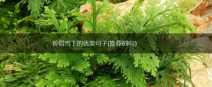 珍惜当下的优美句子(推荐69句),第1张