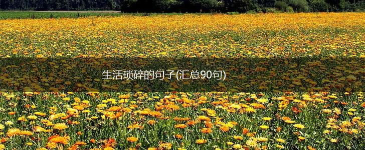 生活琐碎的句子(汇总90句),第1张