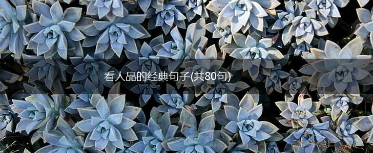 看人品的经典句子(共80句),第1张