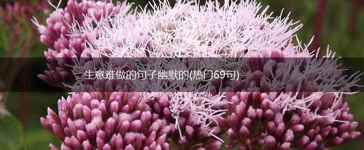 生意难做的句子幽默的(热门69句),第1张