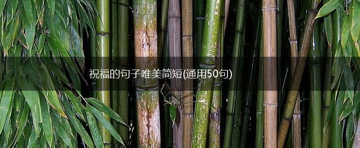 祝福的句子唯美简短(通用50句),第1张