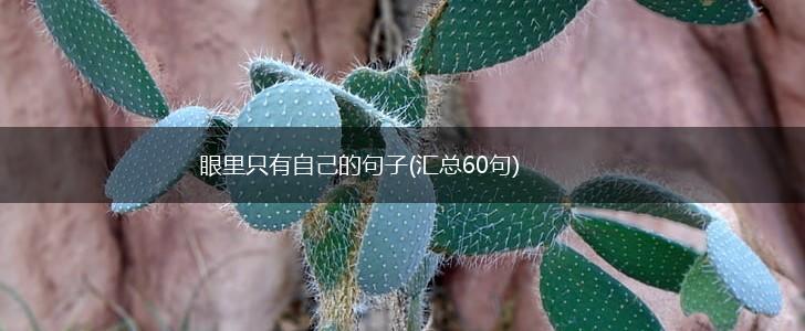 眼里只有自己的句子(汇总60句),第1张
