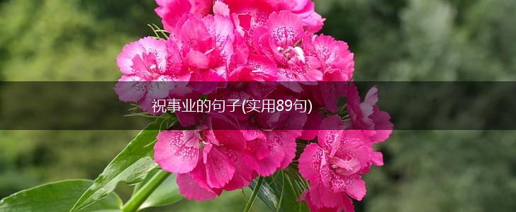祝事业的句子(实用89句),第1张