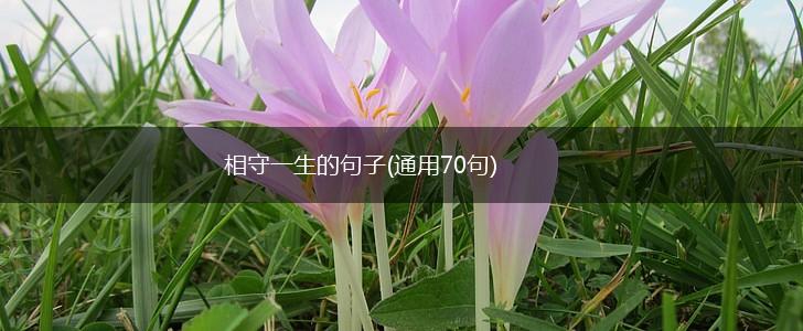 相守一生的句子(通用70句),第1张