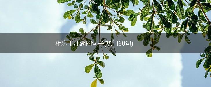 相忘于江湖的句子(热门60句),第1张