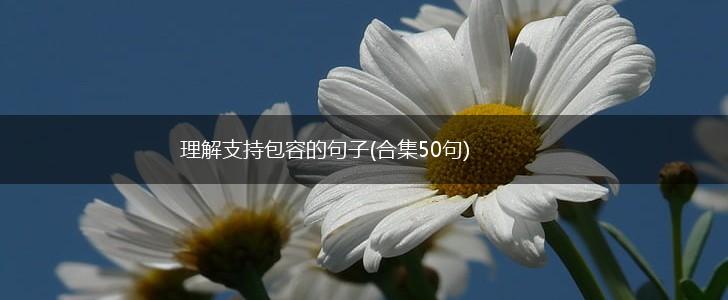 理解支持包容的句子(合集50句),第1张 理解支持包容的句子(合集50句),第1张