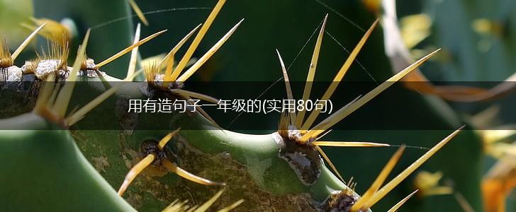 用有造句子一年级的(实用80句),第1张