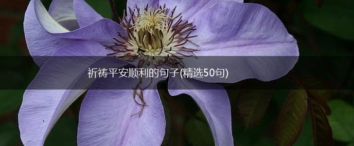 祈祷平安顺利的句子(精选50句),第1张