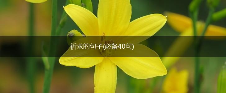 祈求的句子(必备40句),第1张