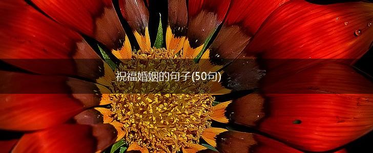 祝福婚姻的句子(50句),第1张 祝福婚姻的句子(50句),第1张