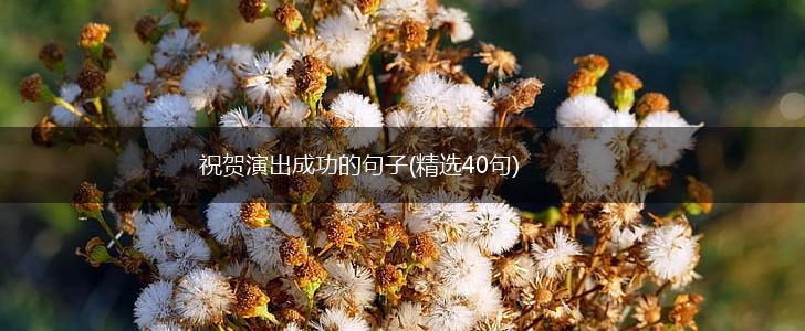 祝贺演出成功的句子(精选40句),第1张