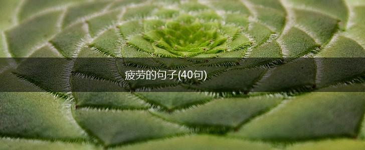 疲劳的句子(40句),第1张