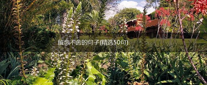 留恋不舍的句子(精选50句),第1张