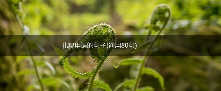 礼貌用语的句子(通用80句),第1张