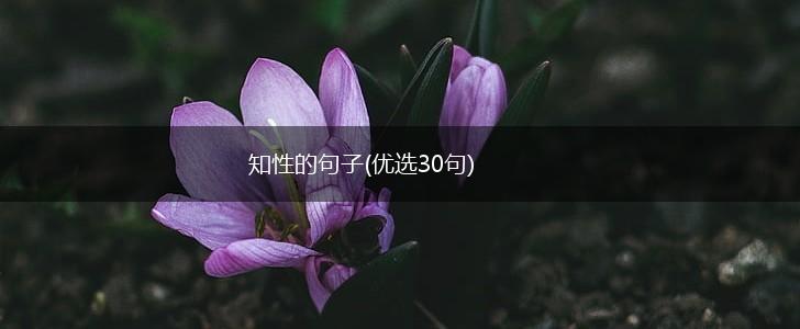 知性的句子(优选30句),第1张
